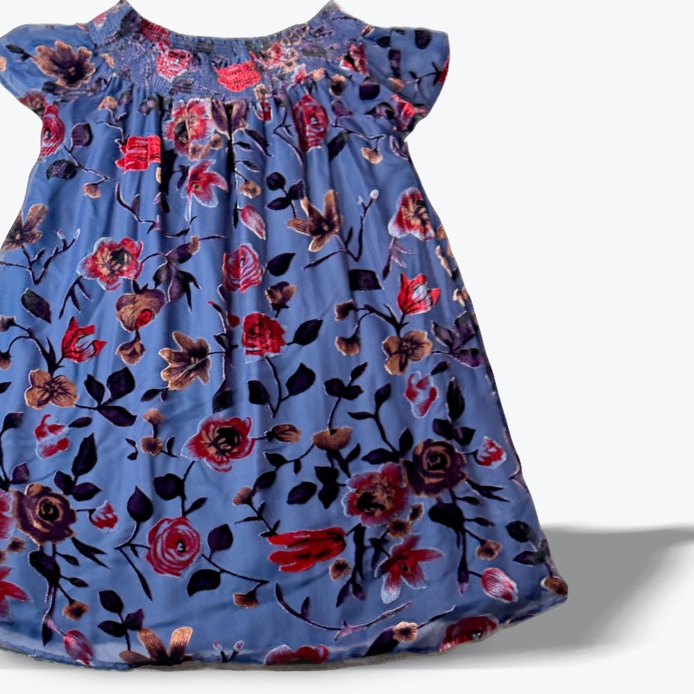 EN CREME Blue Floral‎ Velvet Burnout Mesh Off Shoulder Smocked Dress